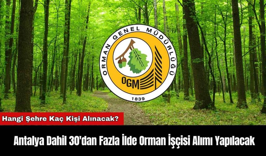 Antalya Dahil 30'dan Fazla İlde Orman İşçisi Alımı Yapılacak